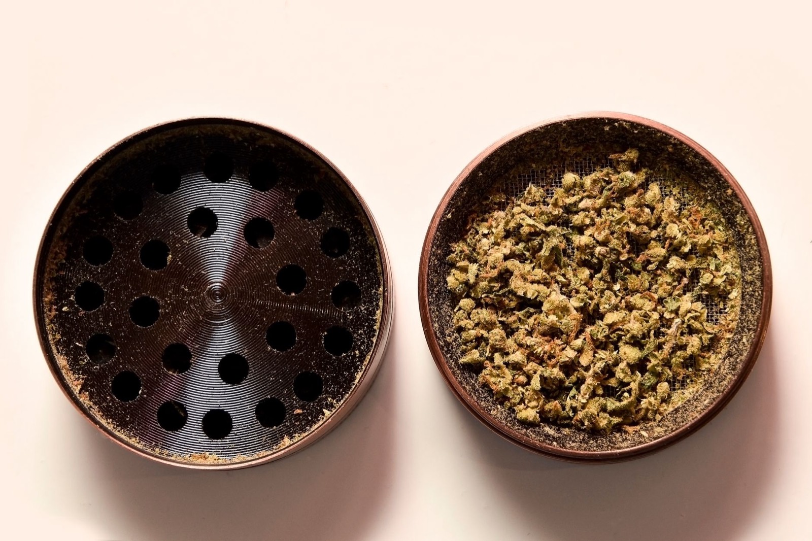 Dense indica-dominant bud structure