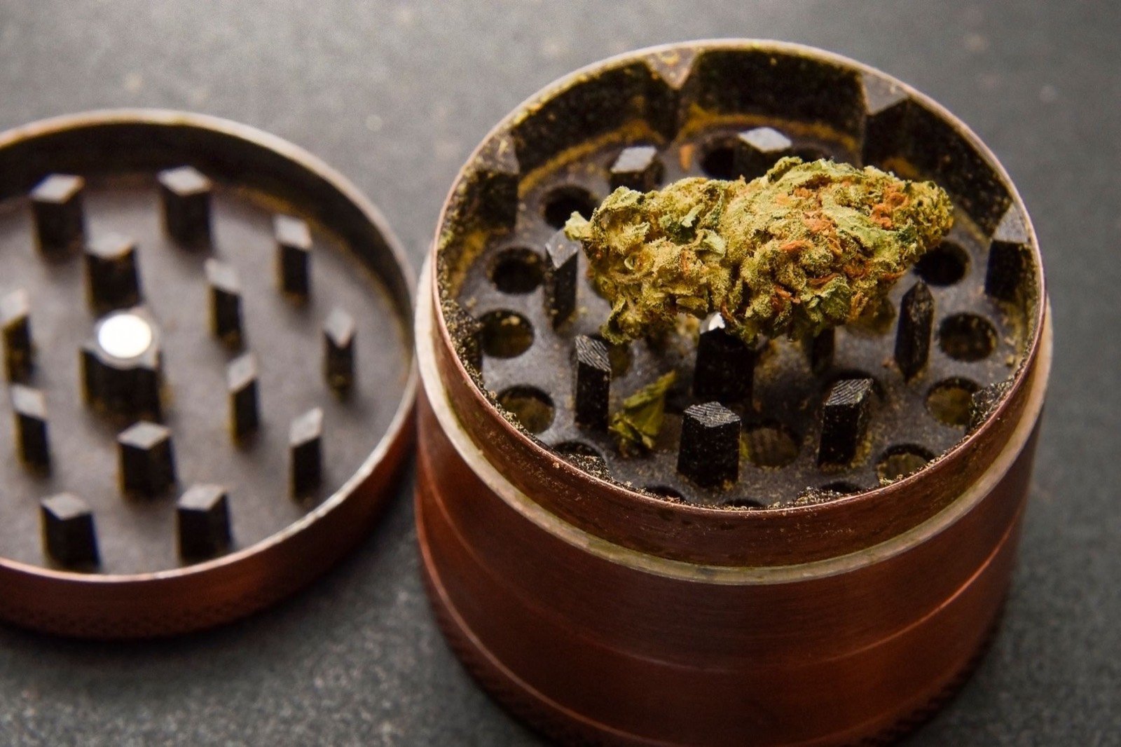 Animal Cookies cannabis flower with dense Cookies-line structure