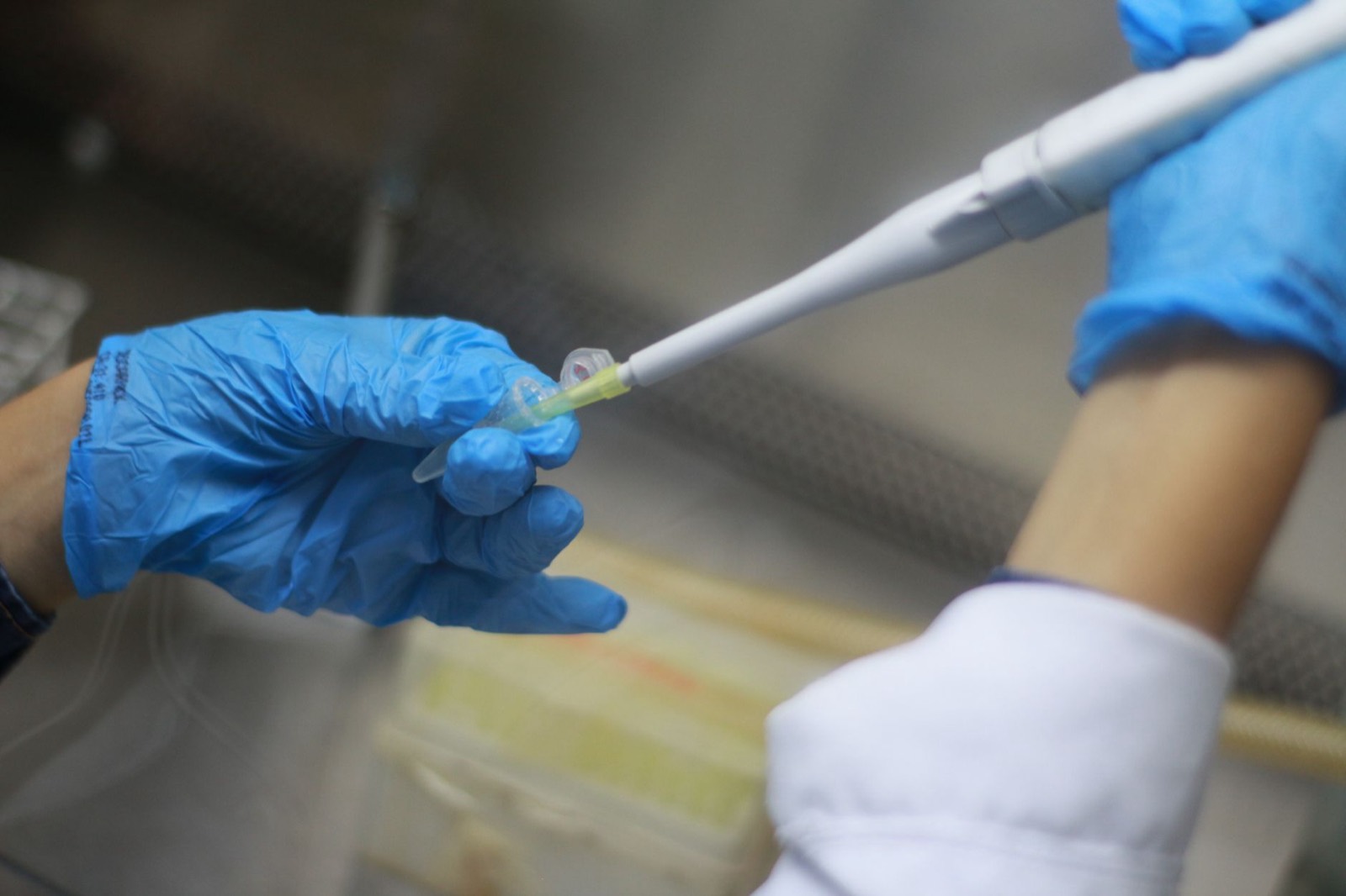 Laboratory testing measuring THC and CBD content