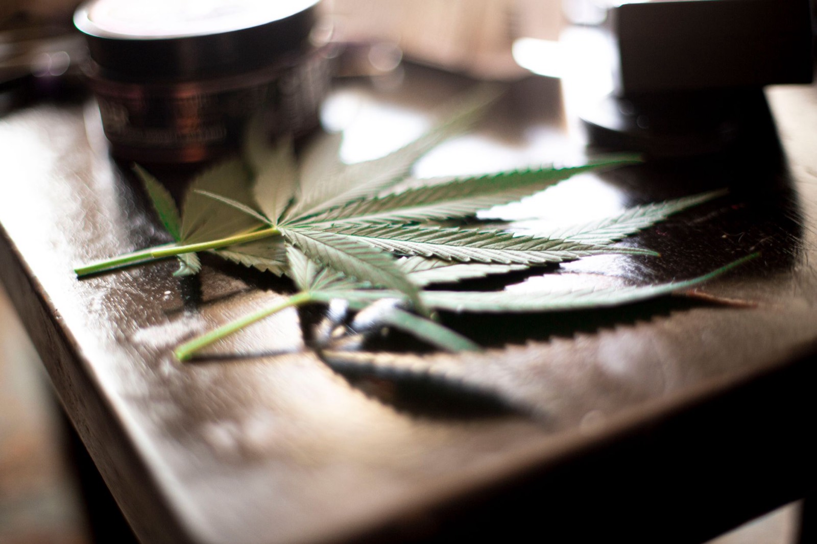Trichomes where cannabinoids are produced and stored