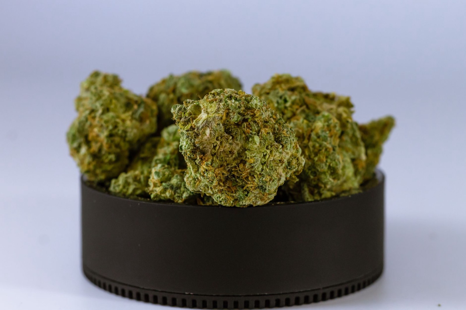 Craft cannabis flower prepared for licensed retail with lab documentation