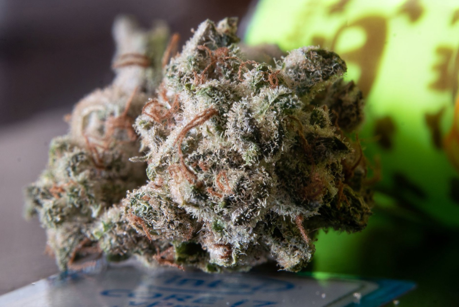 Finished cannabis flower showing the result of a slow dry and cure