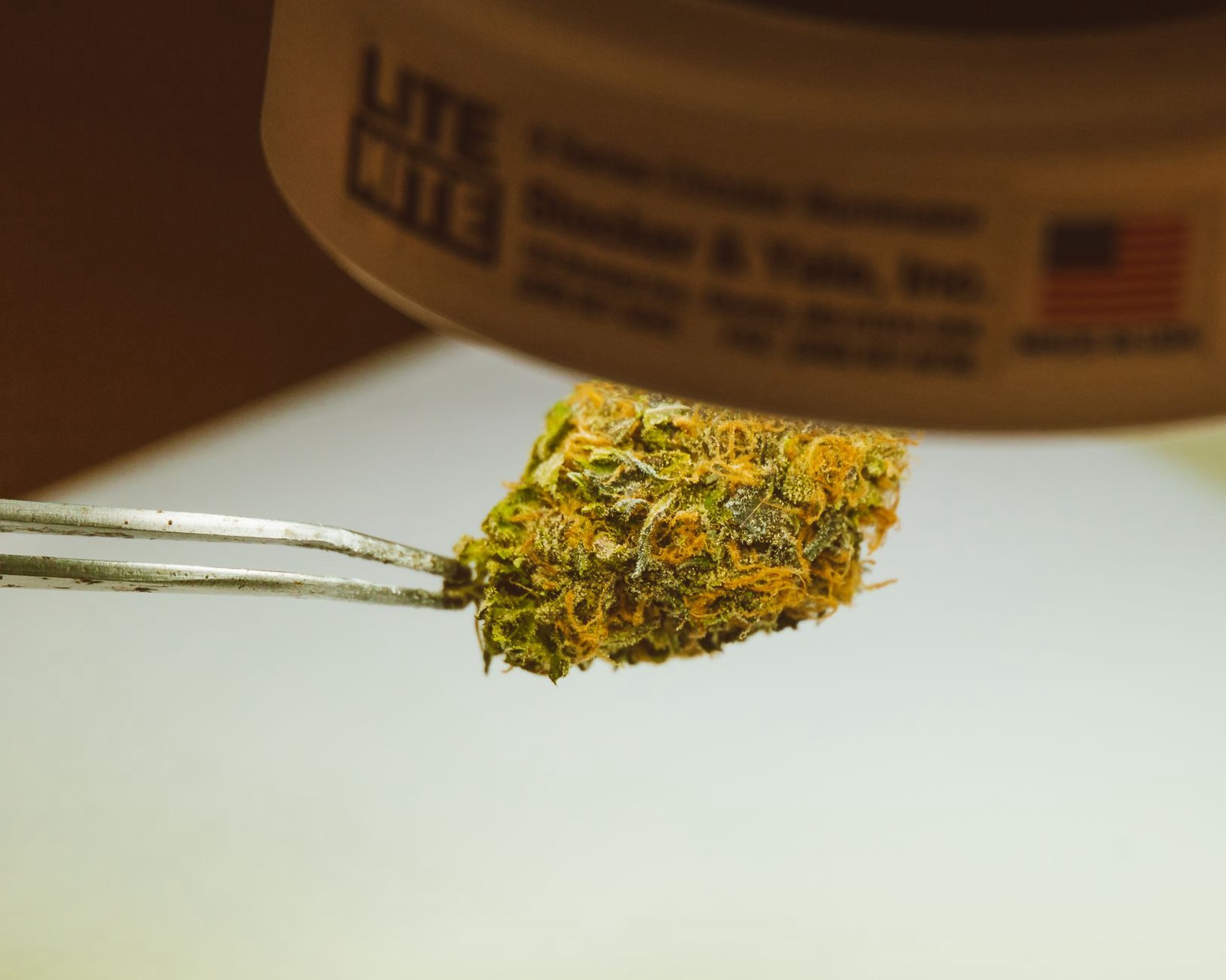 Trichomes, where cannabis terpenes are produced and stored
