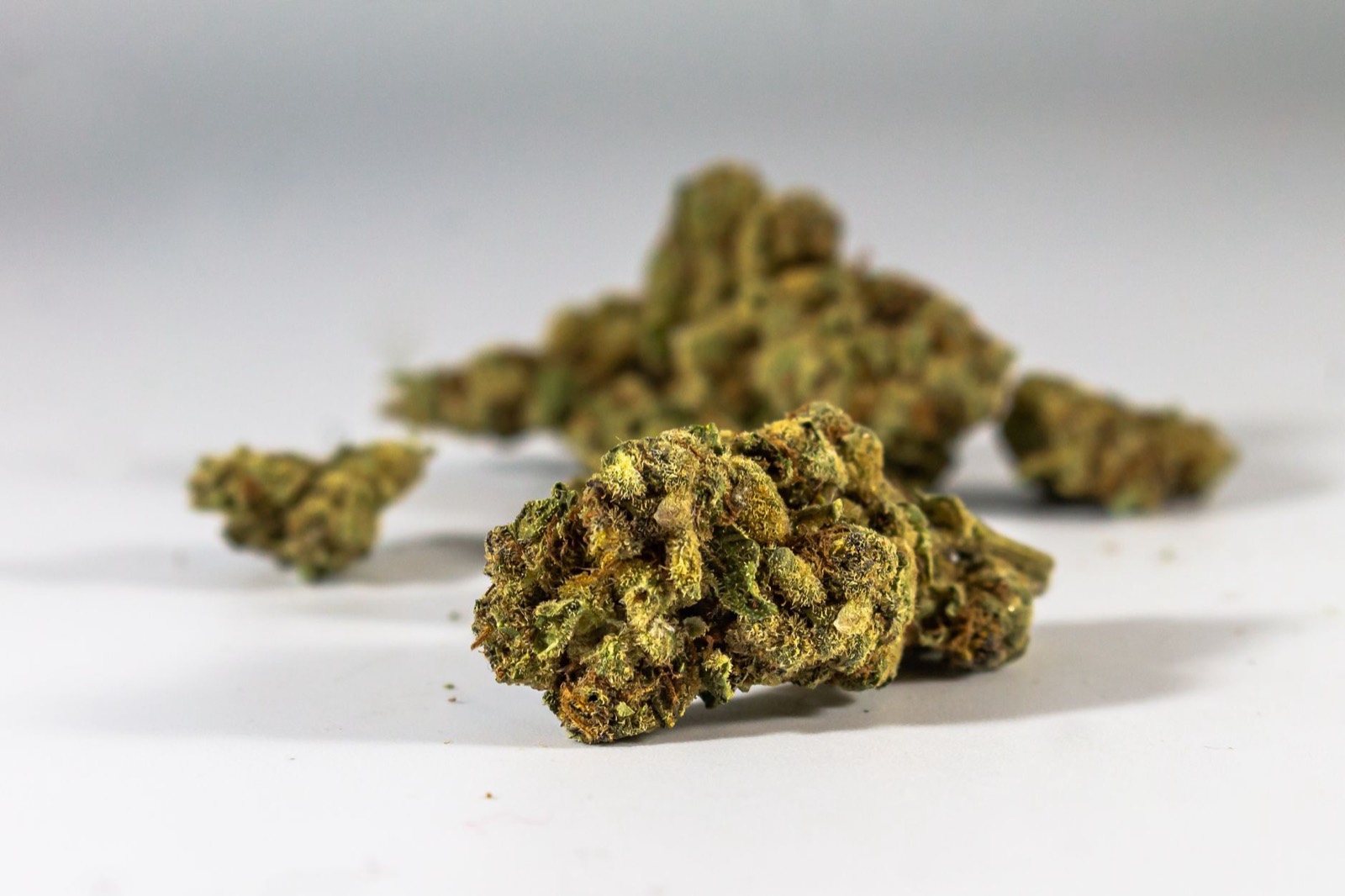 Detail of cherry-forward craft cannabis flower with dense trichome coverage