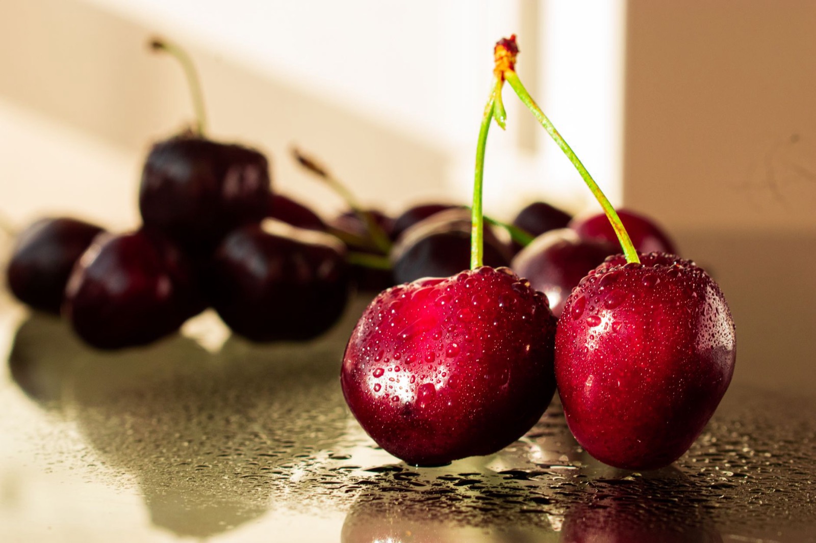 Cherry orchard fruit reflecting Michigan agricultural heritage