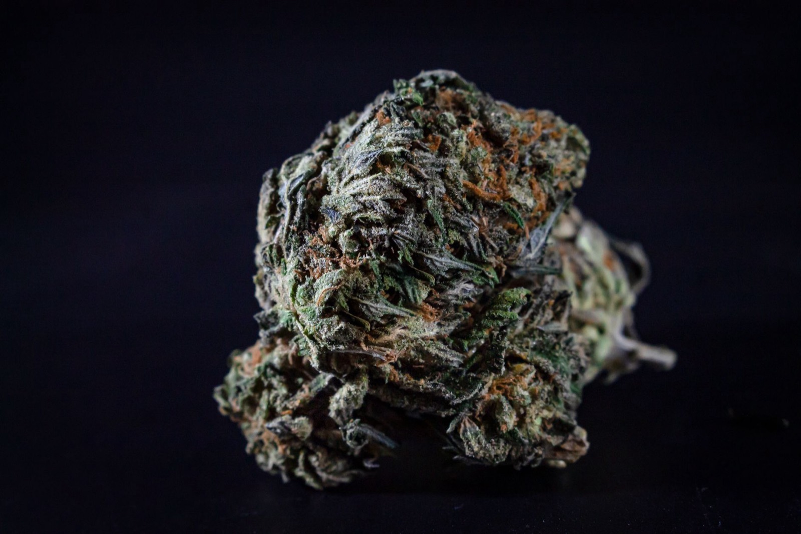 Dense indica-dominant bud structure typical of the OG family