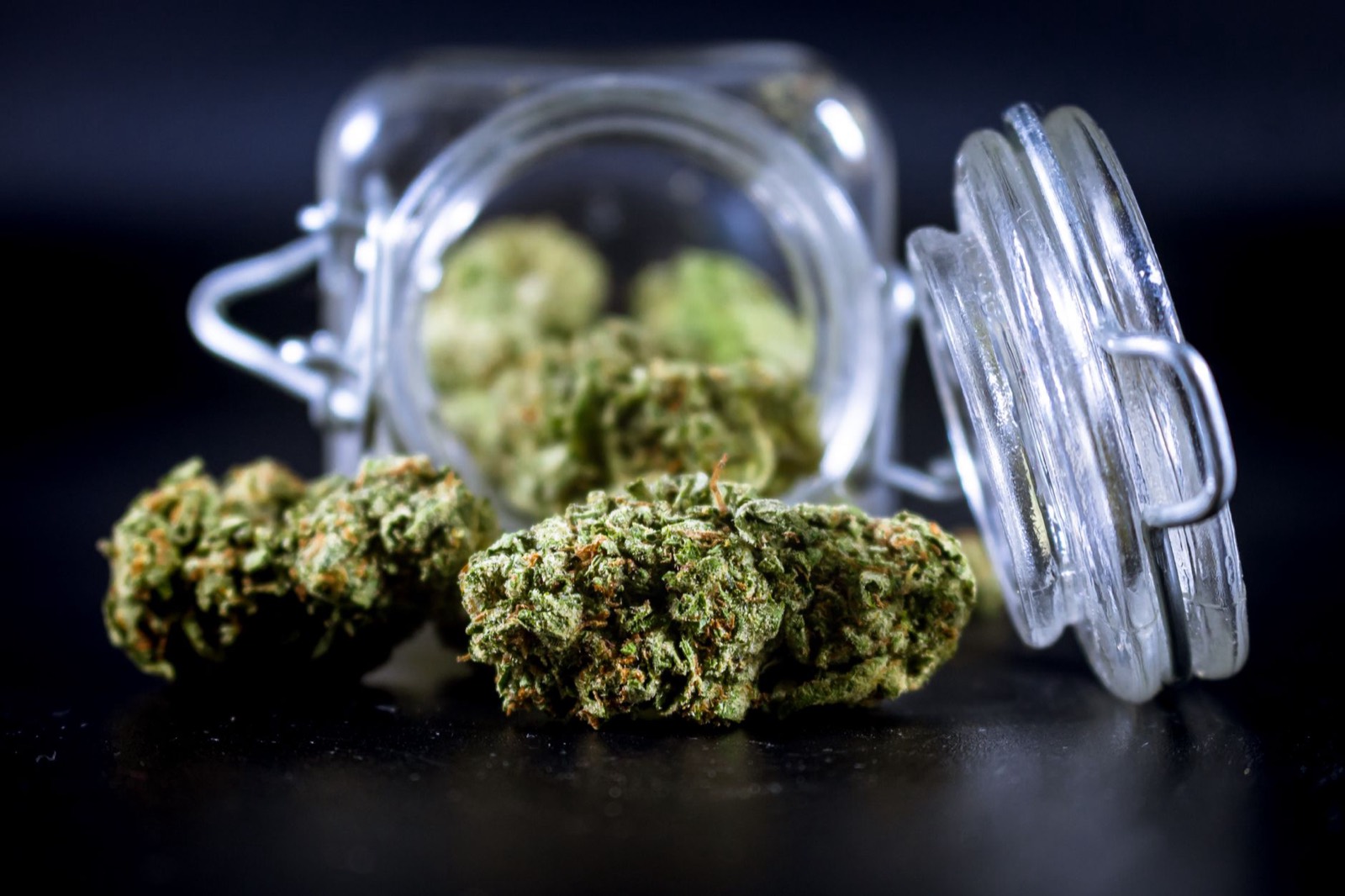Dense trichome-heavy flower from the Cookies genetic line