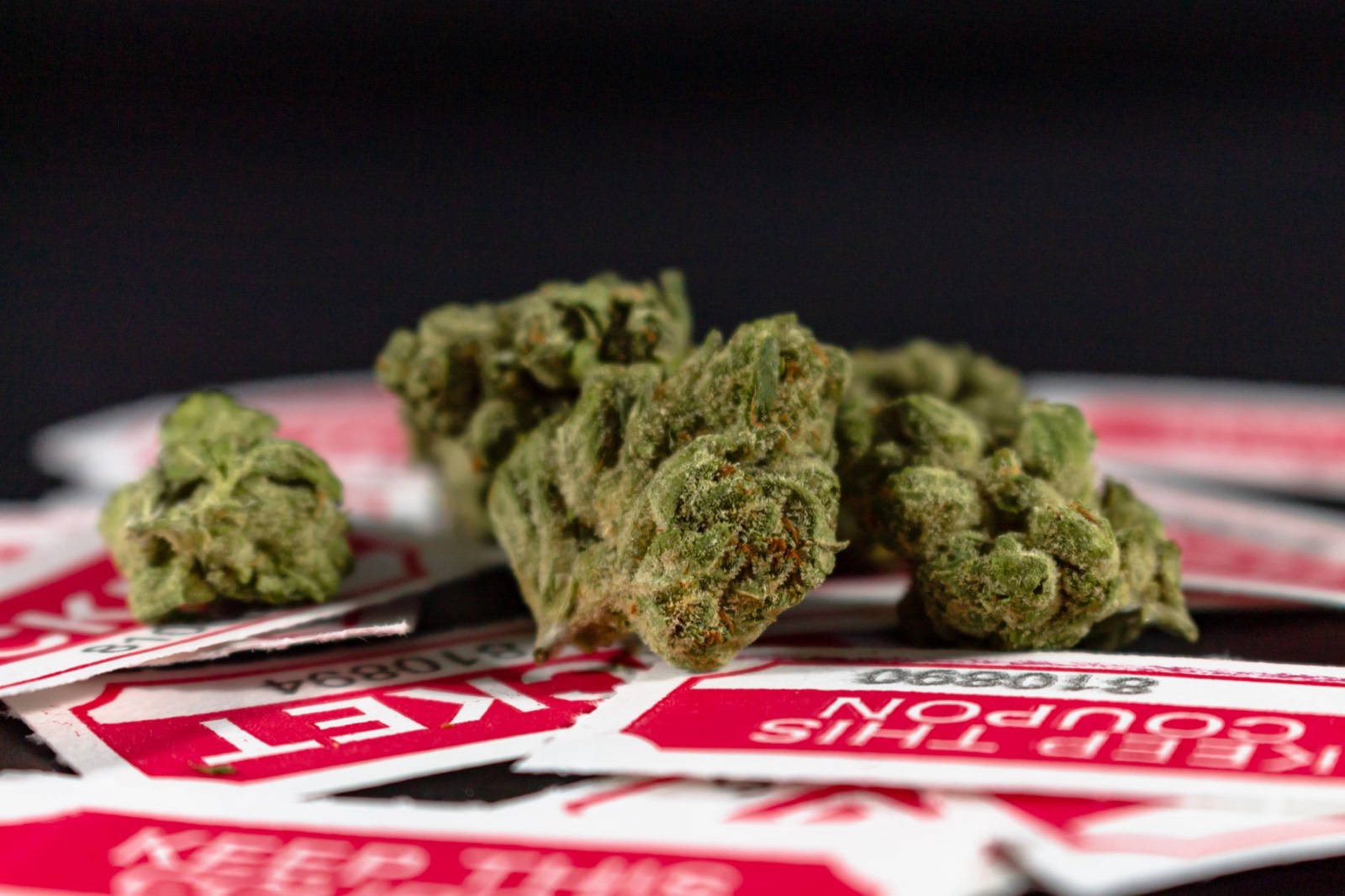 Gelato 33 cannabis flower with compact resinous structure