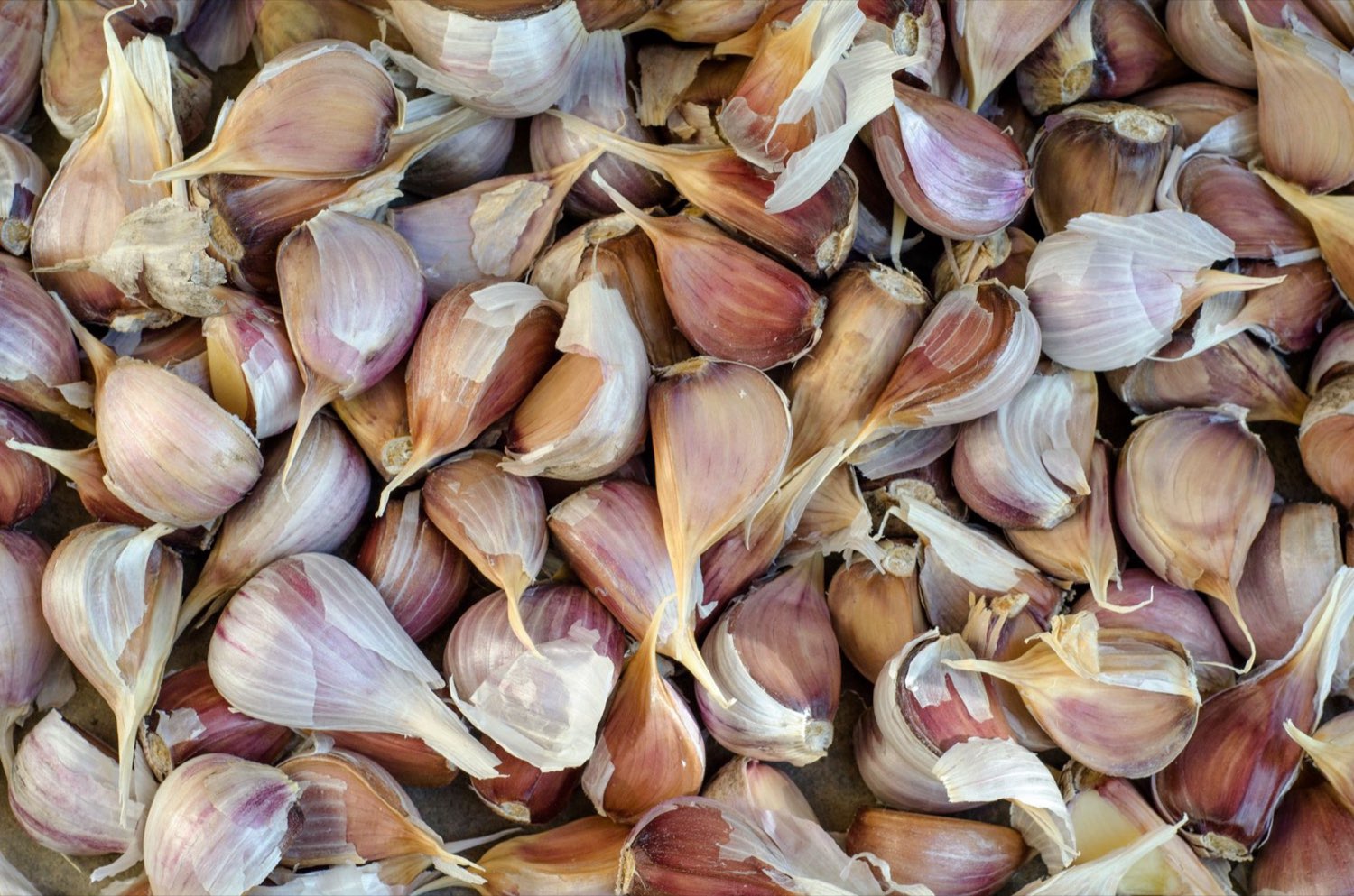 Garlic and onion as the honest flavour reference for GMO