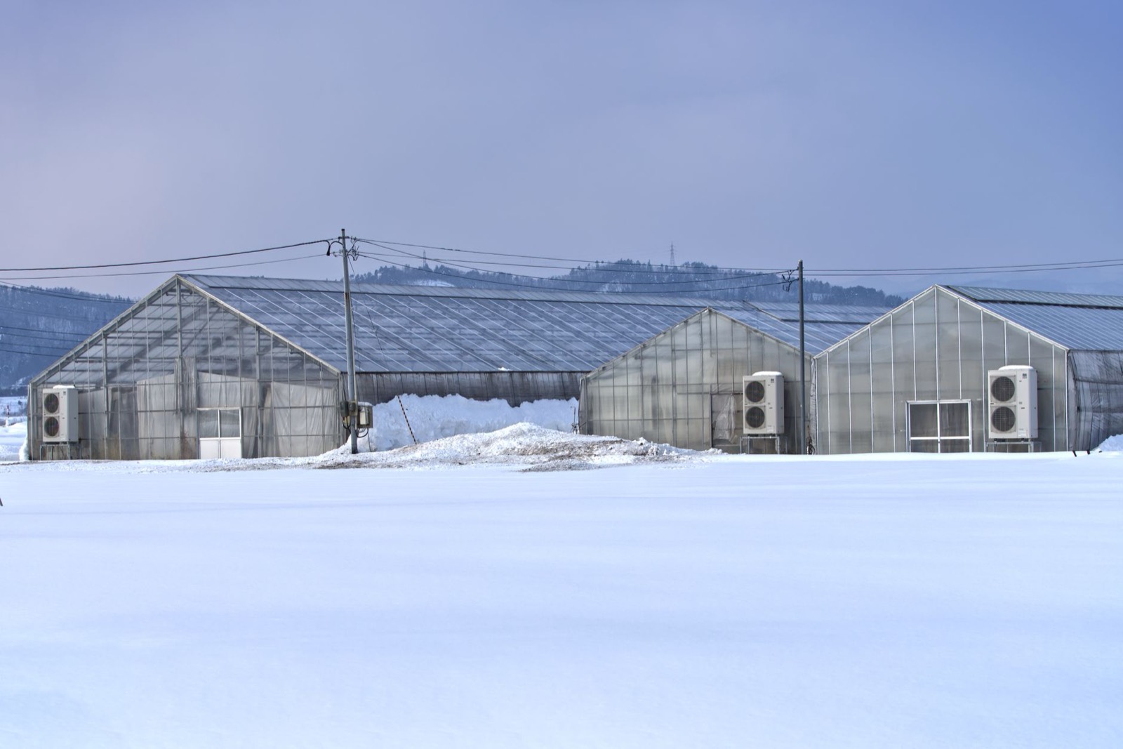Temperature and humidity monitoring equipment in a cannabis grow room