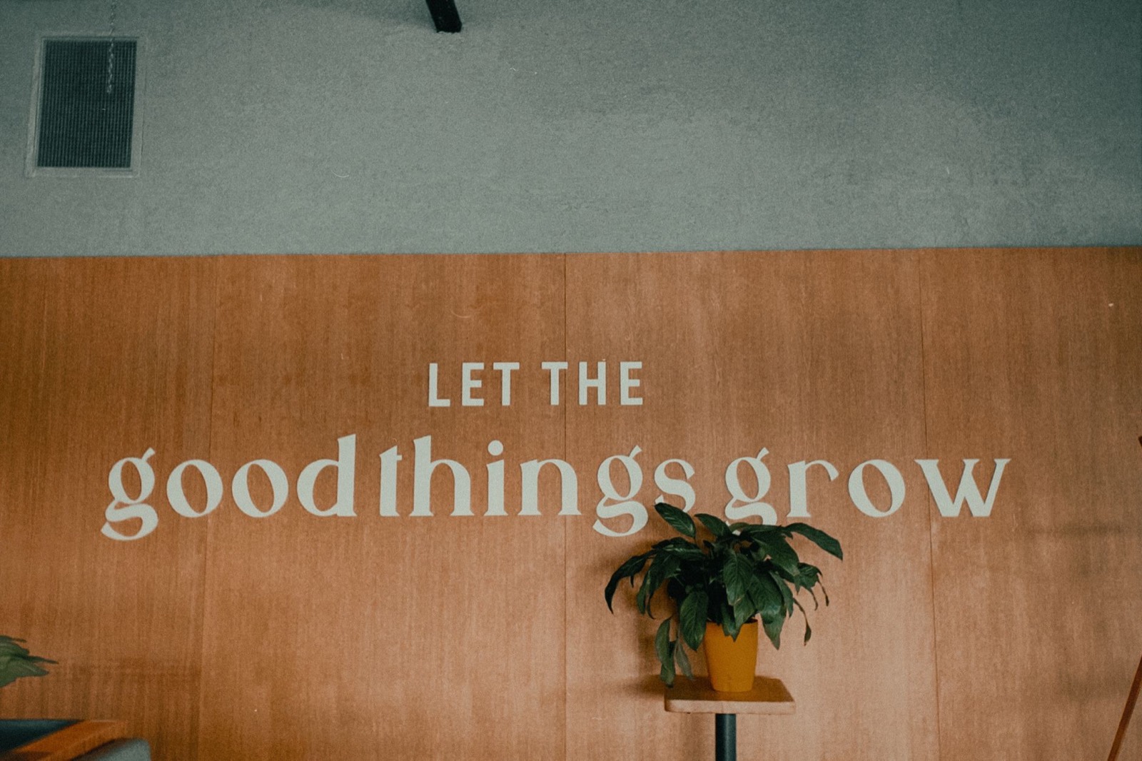 Vigorous cannabis plants in a controlled indoor room
