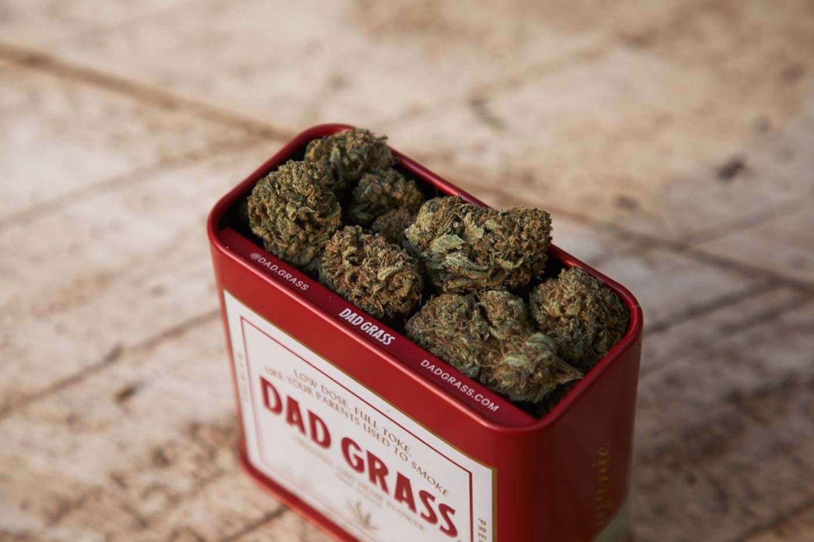 Dense compact flower typical of the Hindu Kush landrace