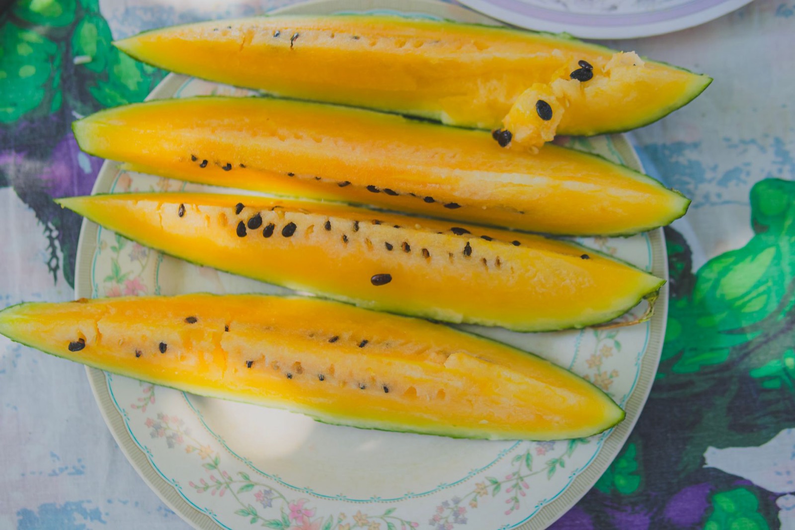 Tropical melon representing the Kiwano strain terpene profile