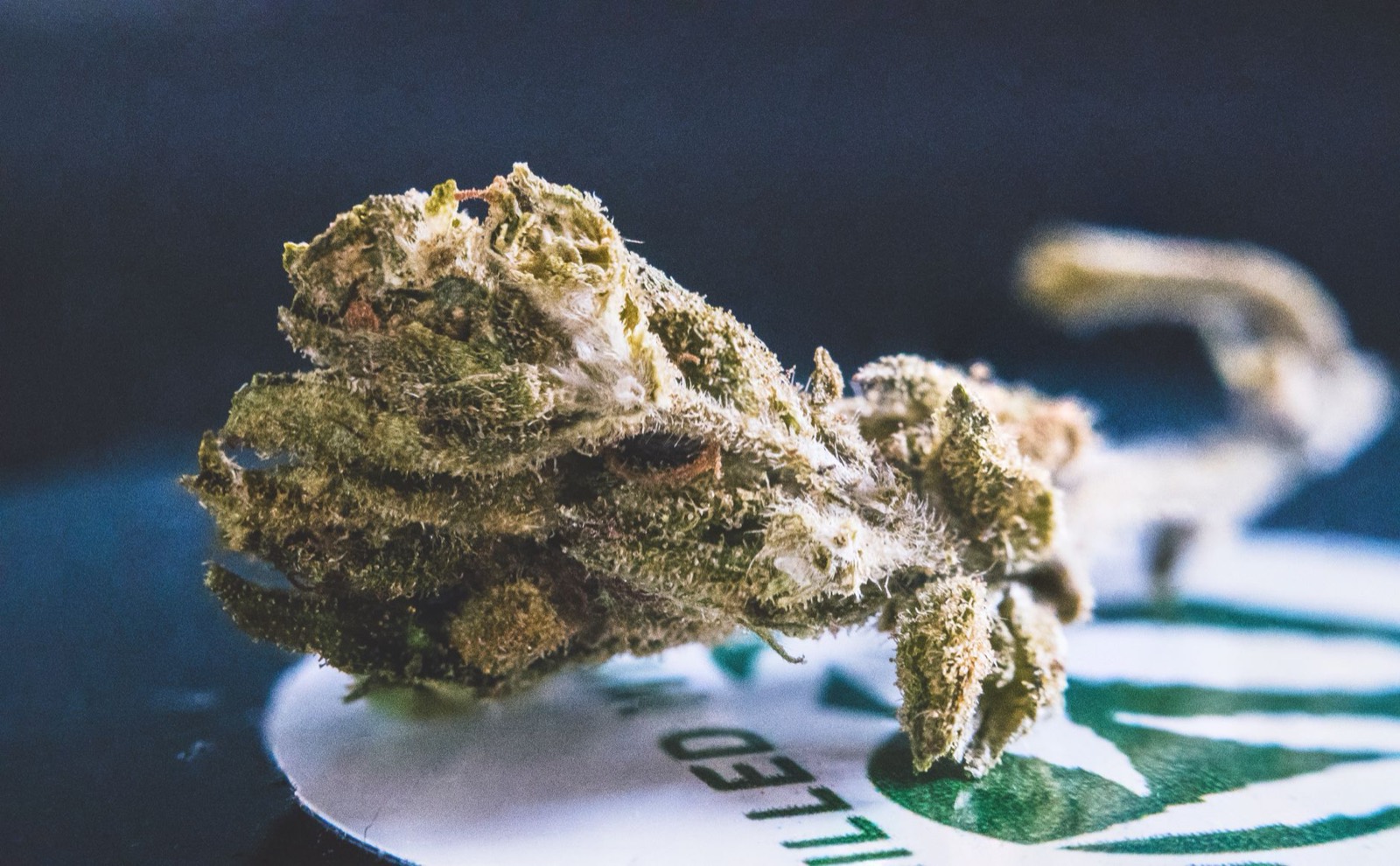 Trichome-dense cannabis flower typical of the Moonbow line