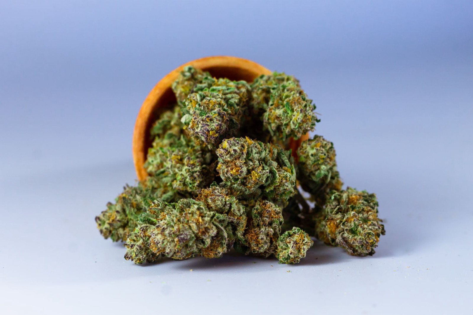 Craft cannabis on a Michigan provisioning centre menu