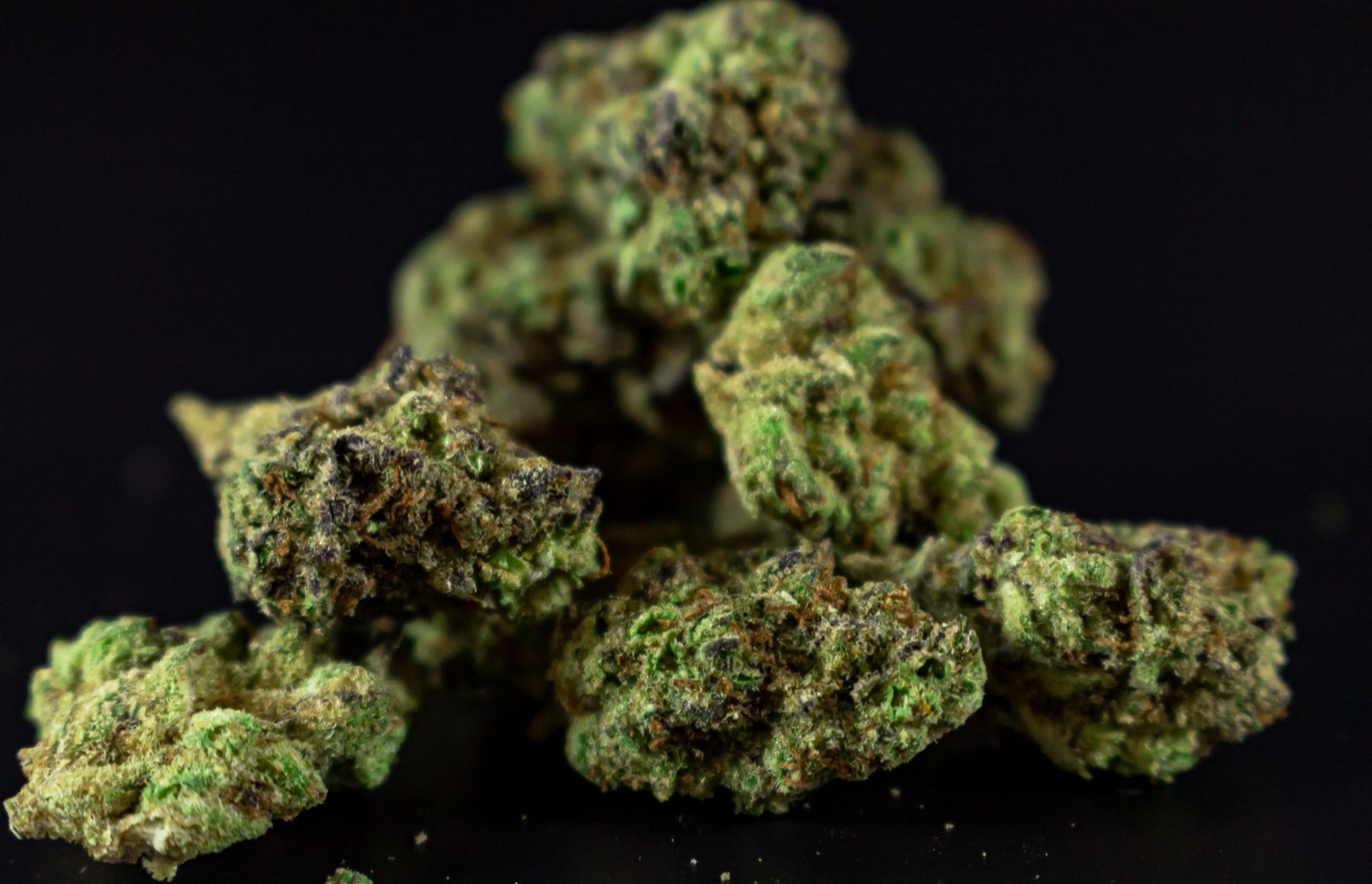 Craft cannabis flower showing trichome coverage and hand-trimmed structure