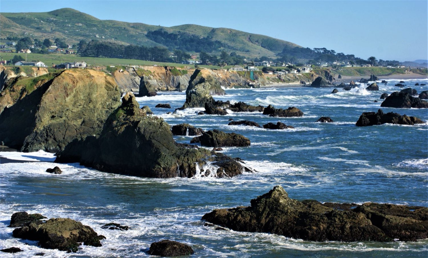 Pacific coast referencing the Ocean Grown theory behind the OG name