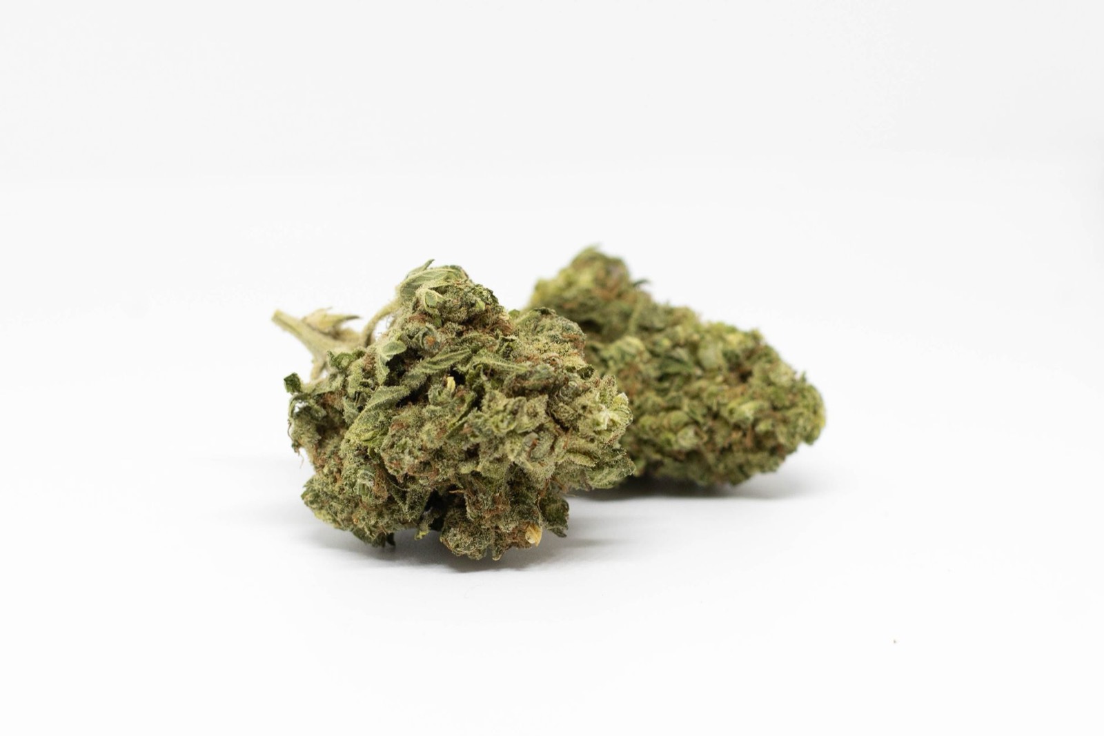 OG Kush cannabis flower with dense resinous structure