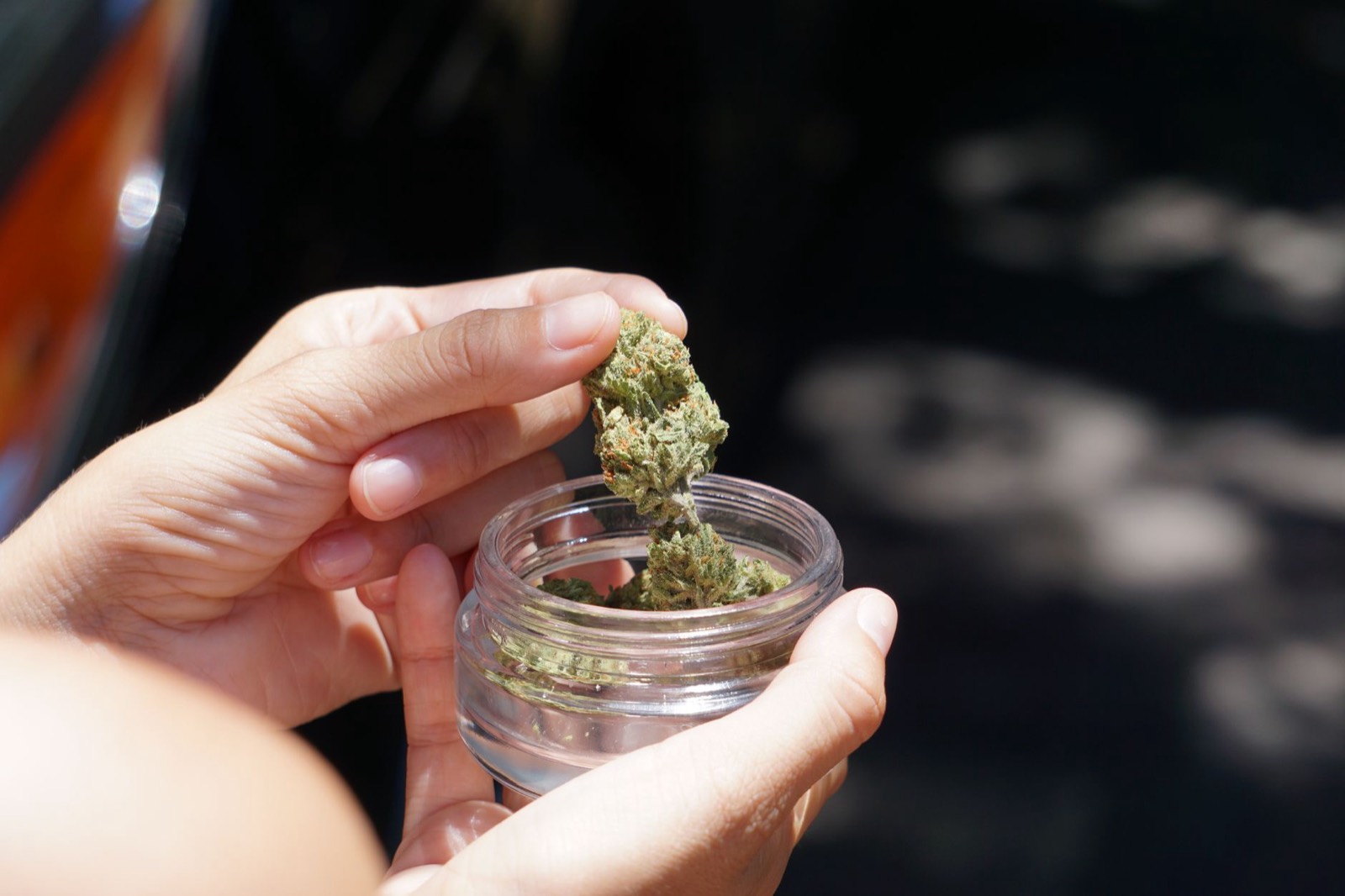 Craft cannabis cured in glass to preserve terpenes