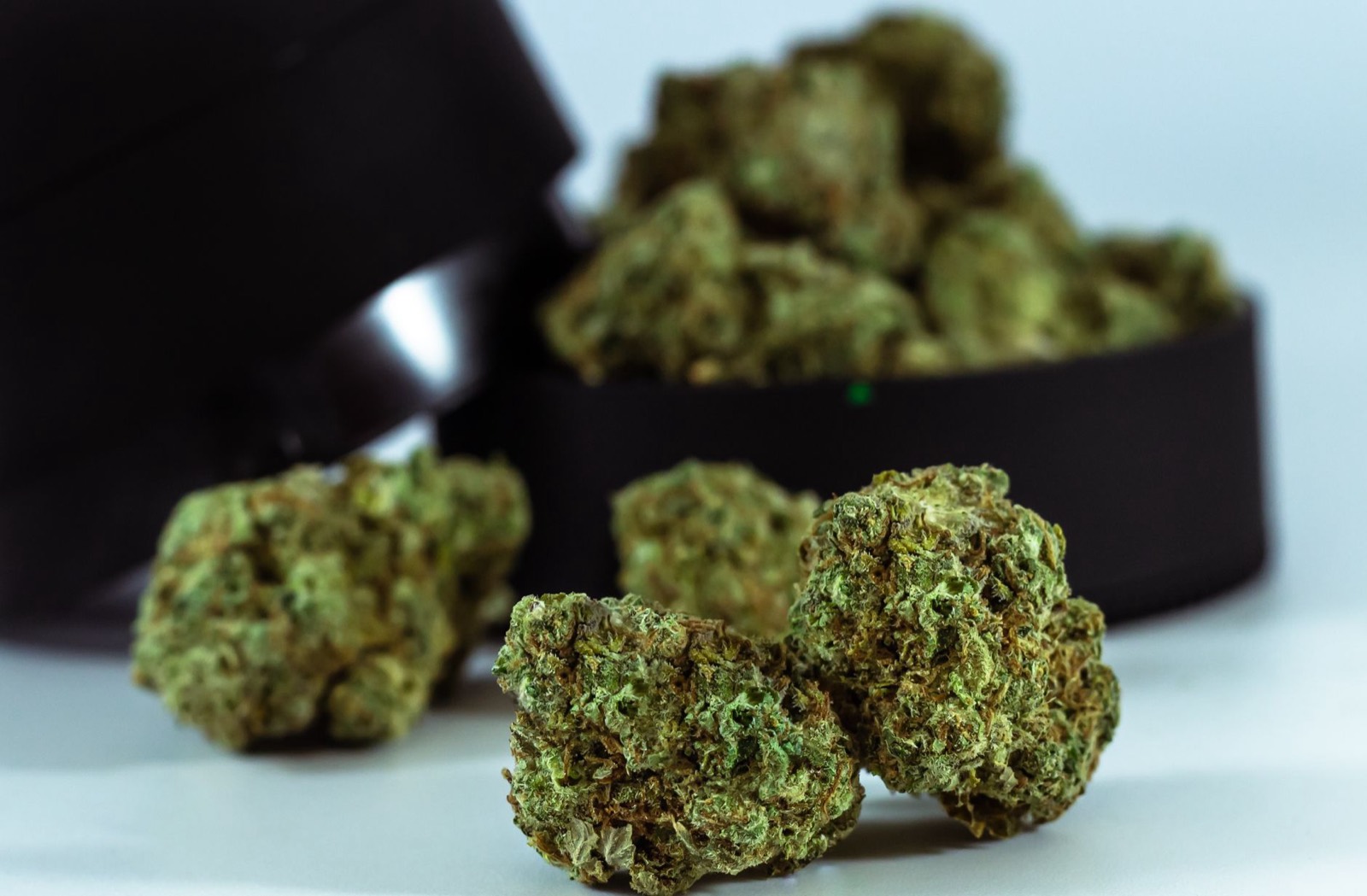 Heavy trichome density inherited from the Sherbanger parent