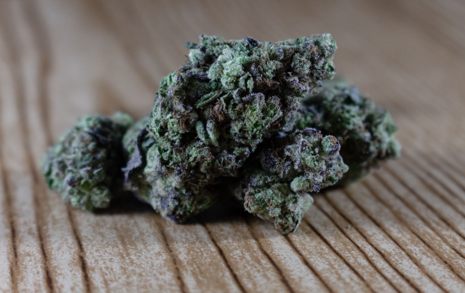 Dense frost-coated cannabis bud typical of Glue crosses