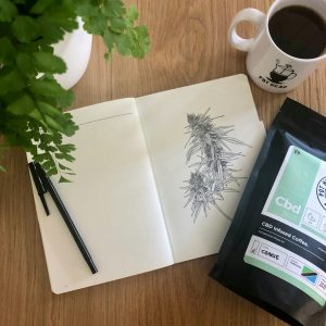 Grow Document Package — Lost Leaf