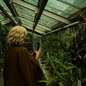Integrated Pest Management — Lost Leaf