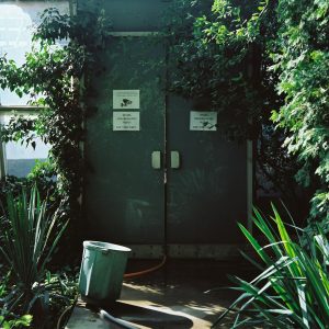 Irrigation & Watering — Lost Leaf