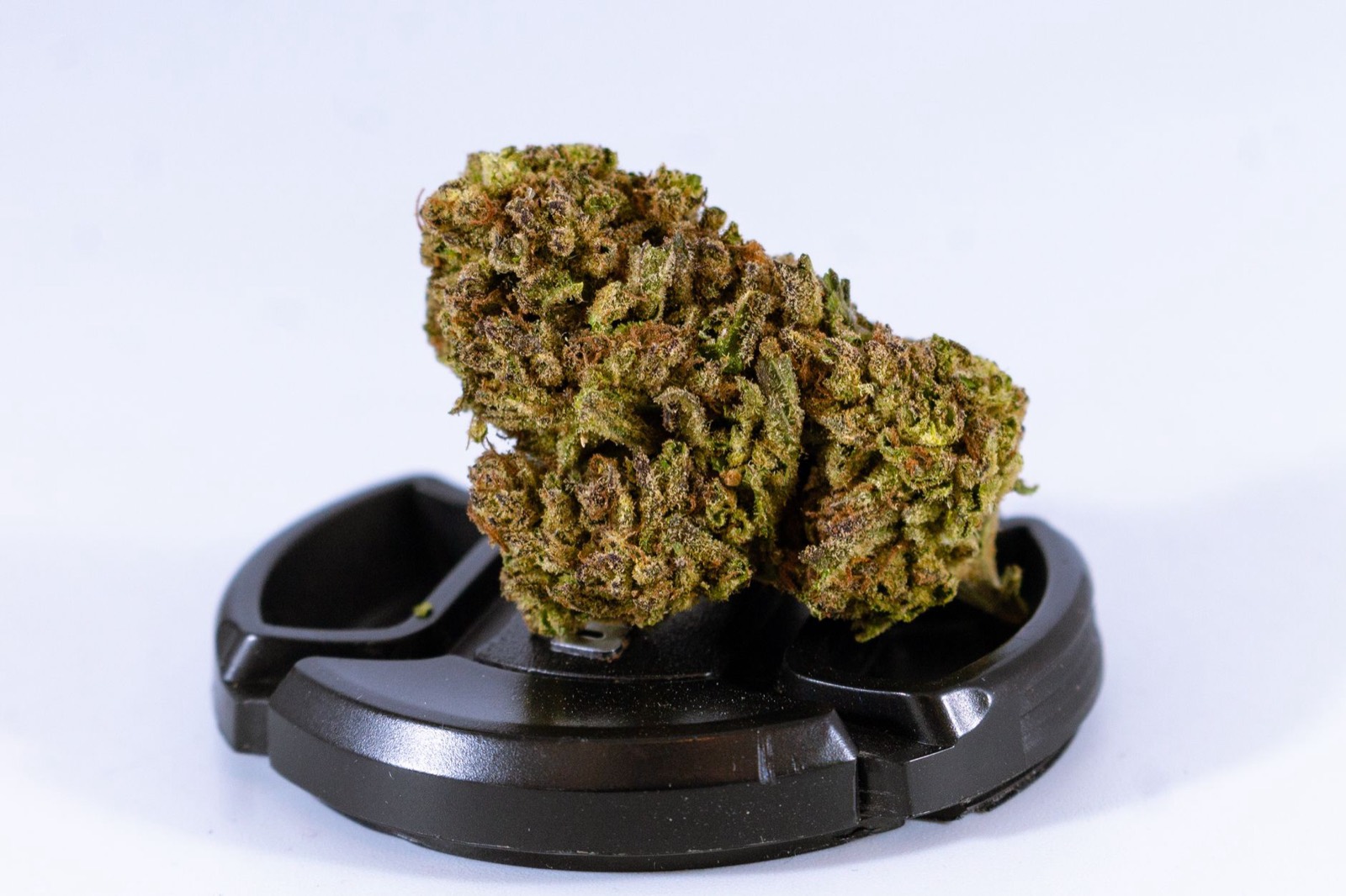 Dense resin-heavy cannabis flower from the RS11 line