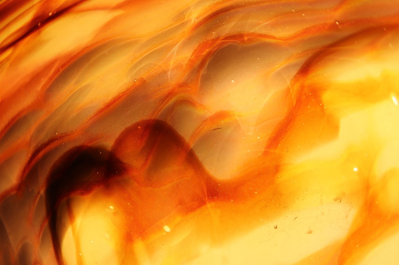 Amber resin texture representing trichome quality prized by extractors