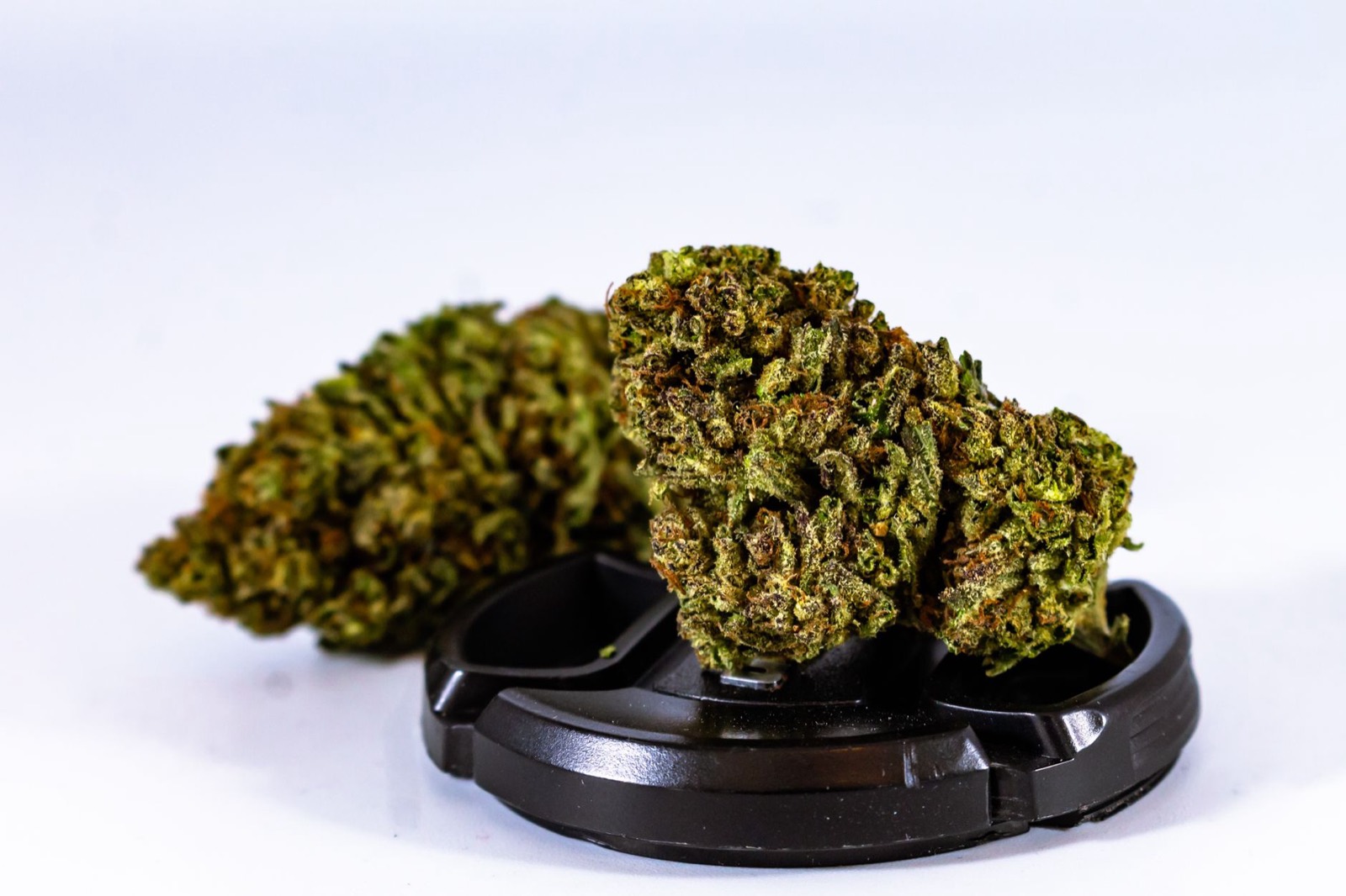 Heavy resin and trichome coverage on Sake Bomb craft cannabis flower