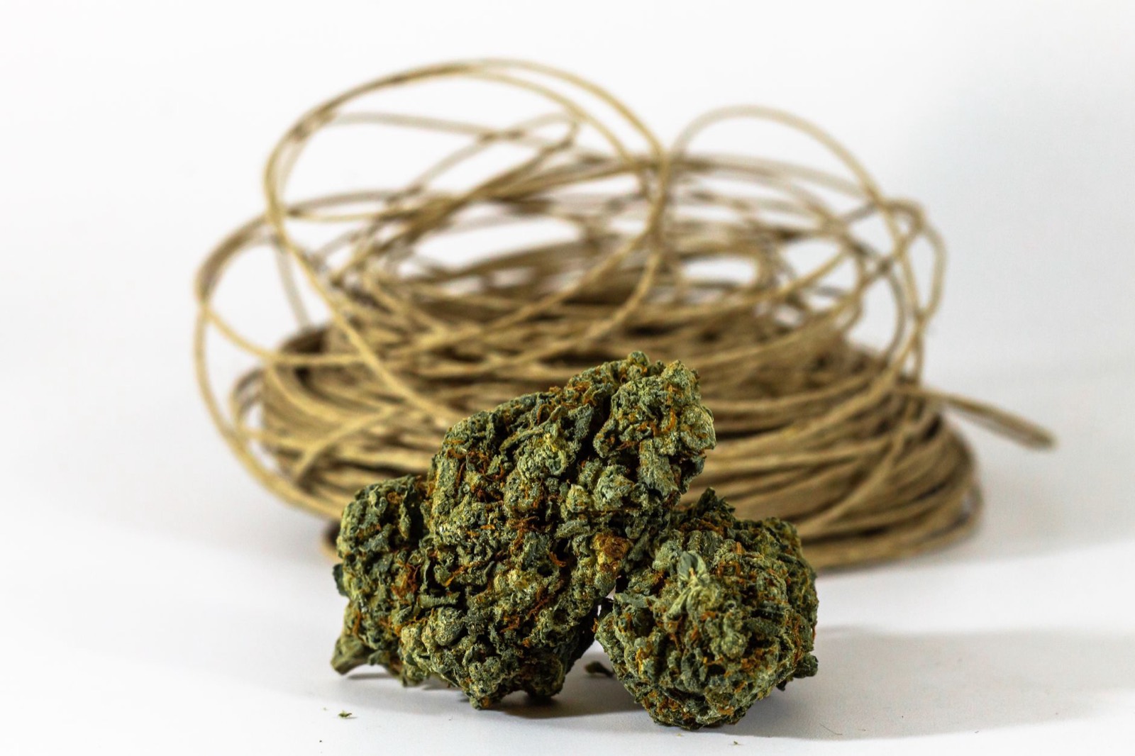 Small-batch cannabis production inside a Michigan craft grow facility