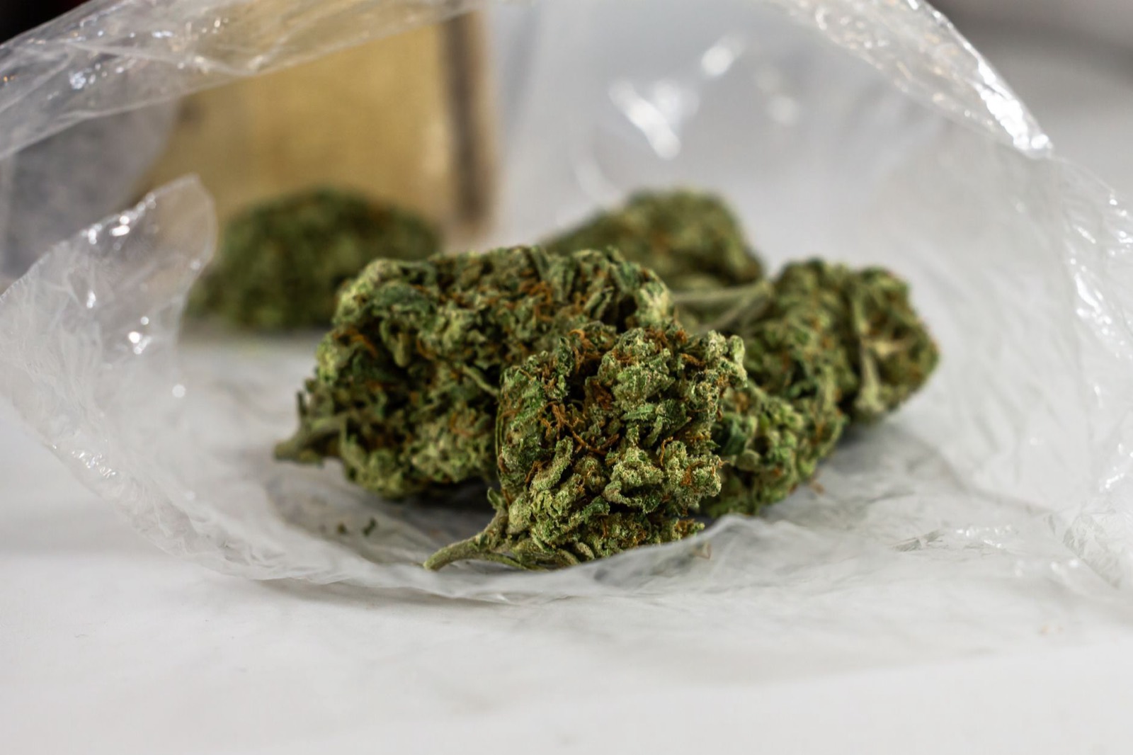 Trichome-heavy cannabis flower typical of the RS11 line