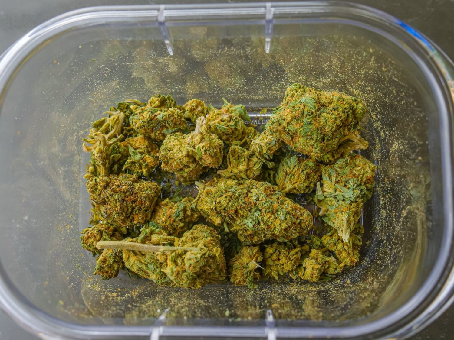 Starbury craft cannabis cured in a sealed glass jar