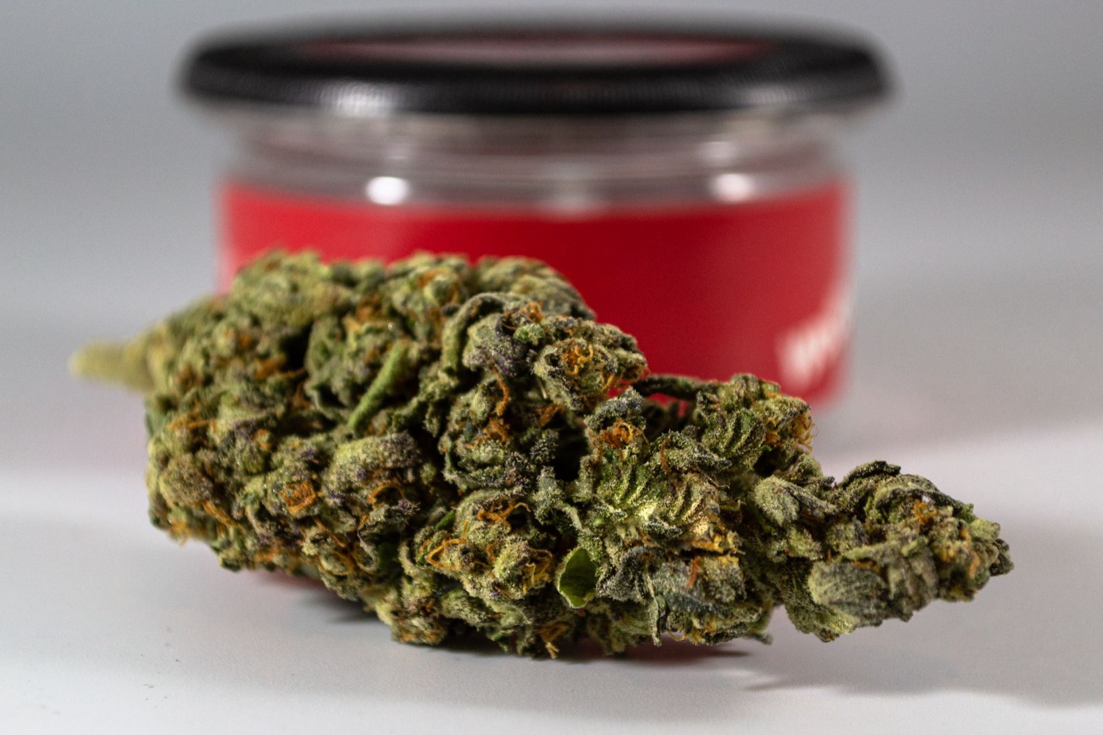 Cured Zookies cannabis flower stored in a glass jar