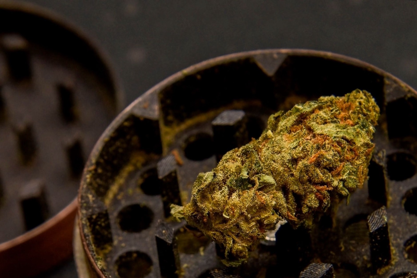 Resin-coated hybrid cannabis flower showing heavy trichome production